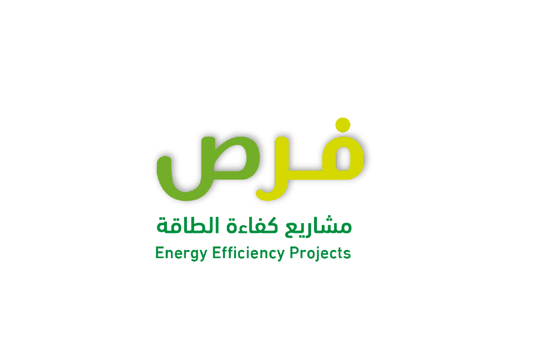 Electronic Platform for Energy Efficiency Project Opportunities