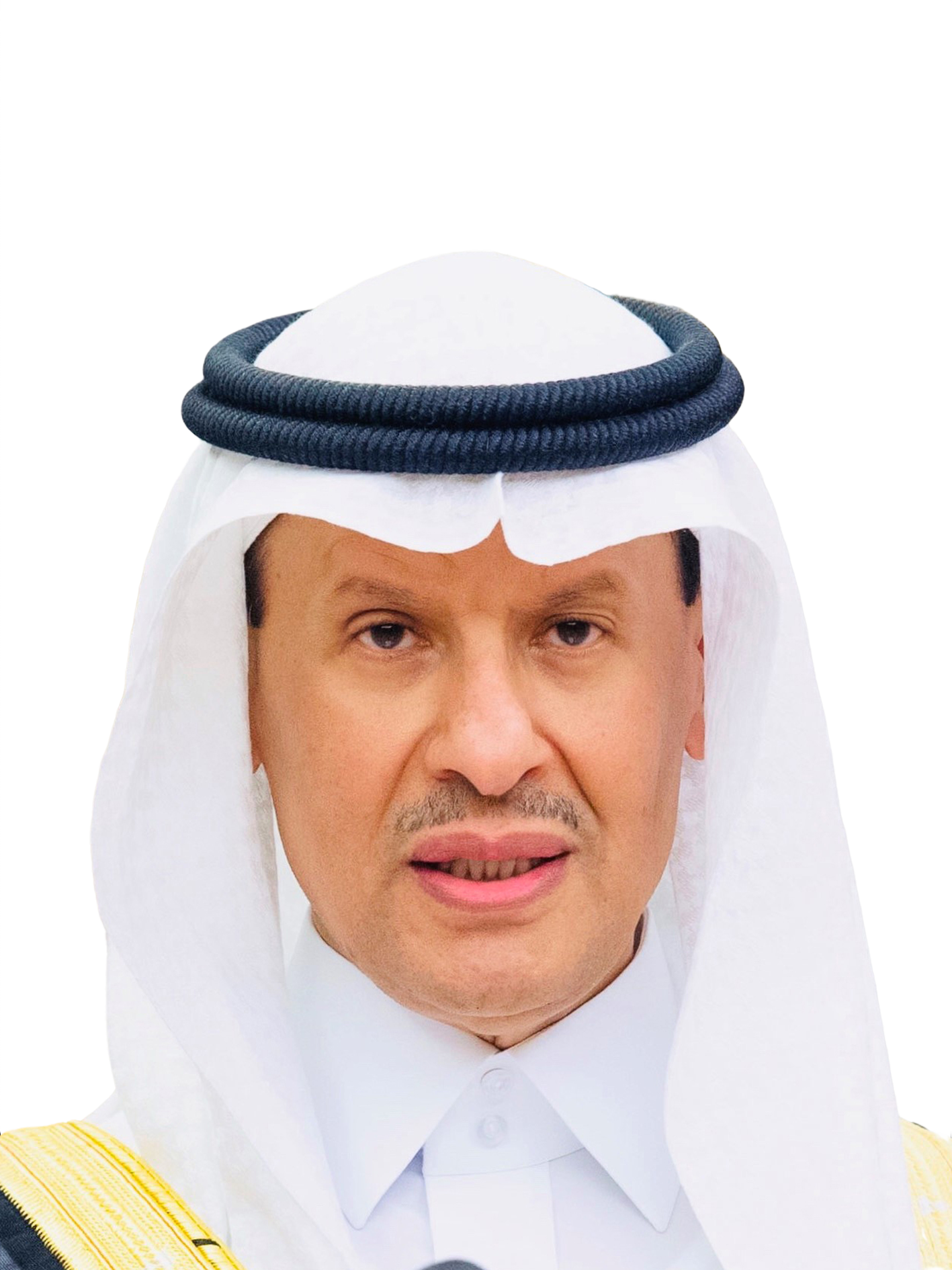 Abdulaziz bin Salman Al-Saud